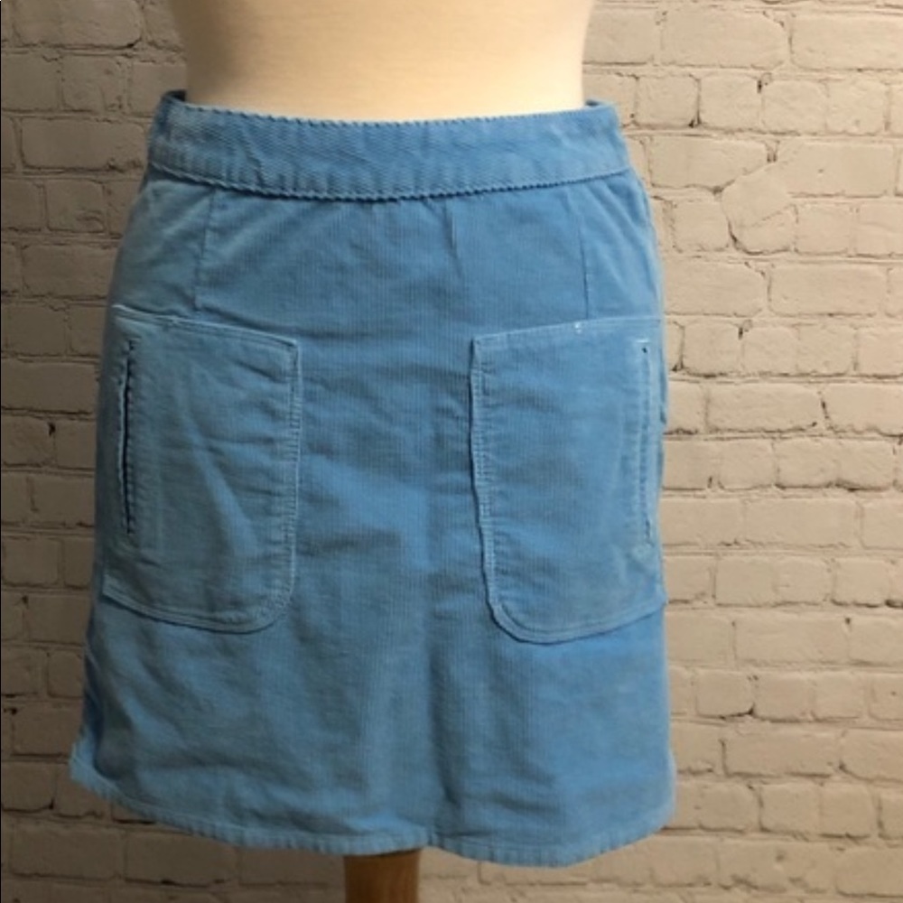 The Cords & Co. Anthropologie Blue  Corduroy Skirt